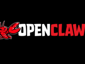 openclaw setup